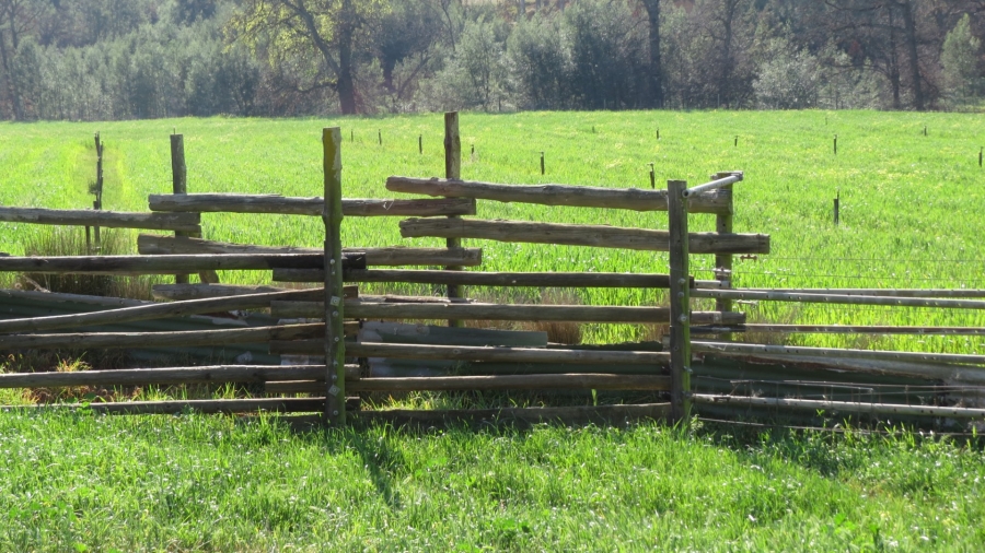 Commercial Property for Sale in Swellendam Rural Western Cape